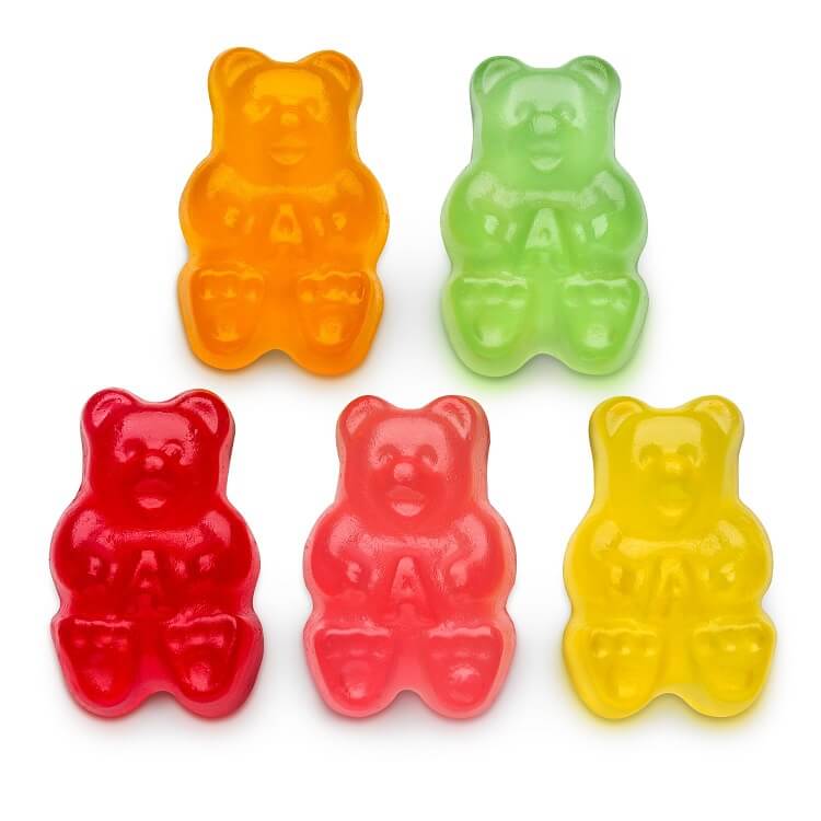 Albanese 12 Flavor Assorted Gummi Bears 5 lb Bag | Gummy Candy ...